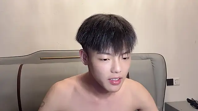 LY-0101 webcam show