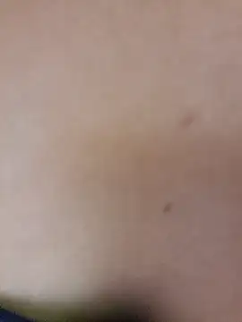 Cassandra_em_n Webbikameraesitys