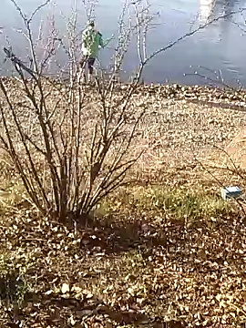 Zzwartfield webcam show