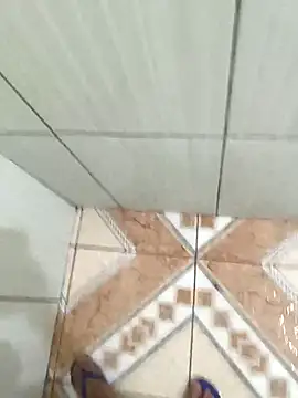 Show de WillZSsp na webcam