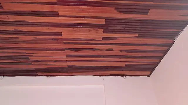 katiamoree's Live XXX Chat