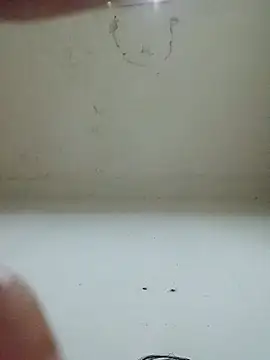 CubanaCuba's Webcam Show