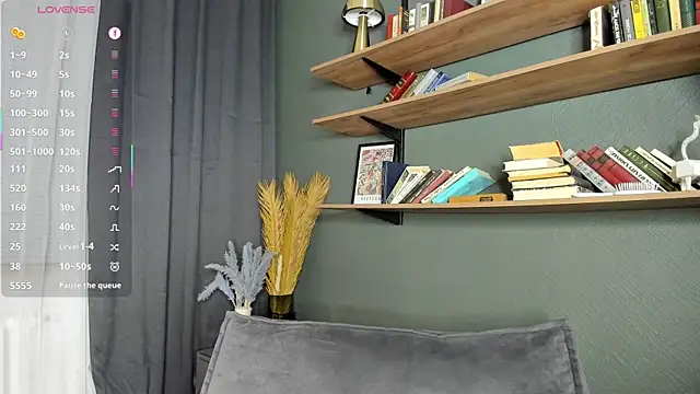 DelorisDetrichn Webbikameraesitys
