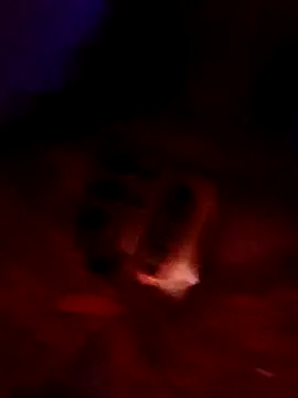 Živý XXX chat Luna_Kitanna