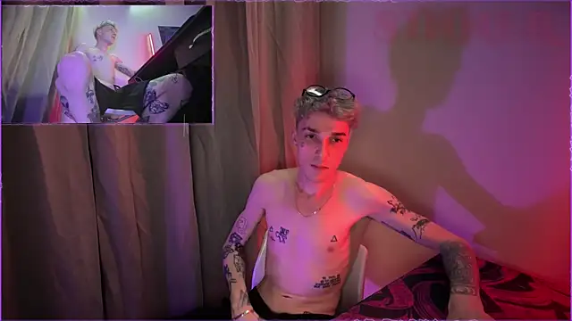 Show webcam de davesinner