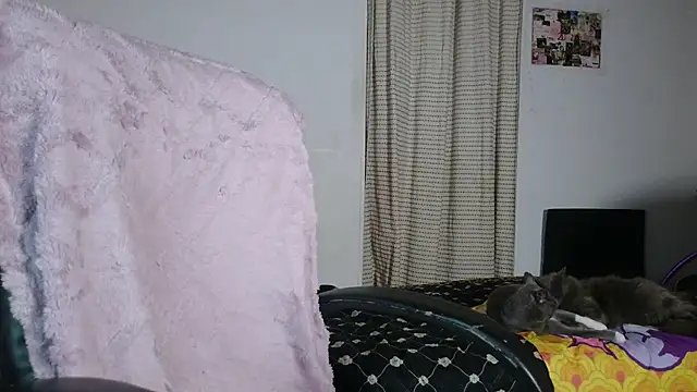 Chat XXX ao vivo de juaaanaaa