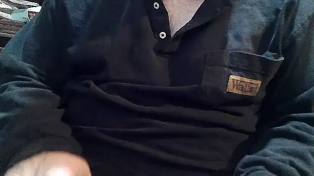 phlwiss' Webcam Show