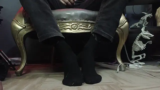 Вебкам-шоу zain_kreigger