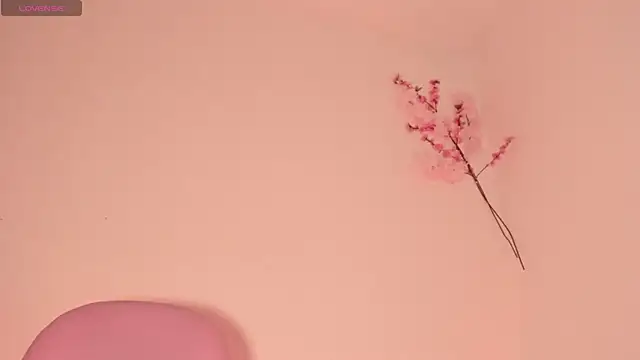 XXX chat uživo modela Ashleyroys_111