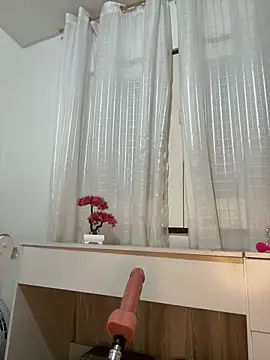 Chat +18 de Nicollebr ao vivo