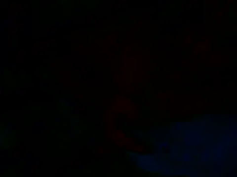 carlos40404 Webcamshow