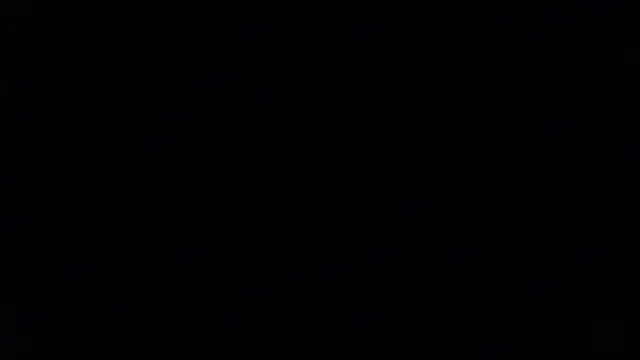 flowernnet 라이브 XXX 채팅