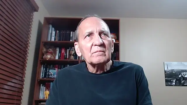 Show Webcam de Tommychat