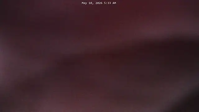 XXX chat uživo modela ashleywowmeow