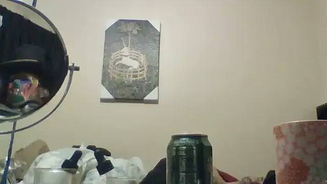 hailzeffn Webcamshow