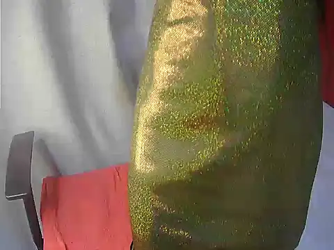 Chat XXX Live portiax