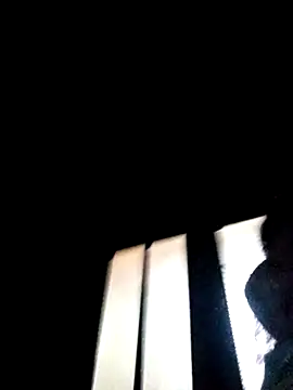 Seoi_kiee élő XXX-chatje
