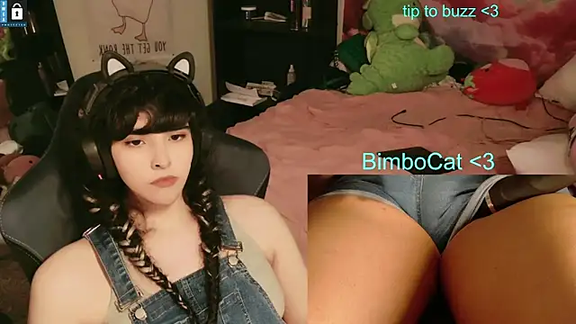 Pertunjukan Kamera Web BimboCat