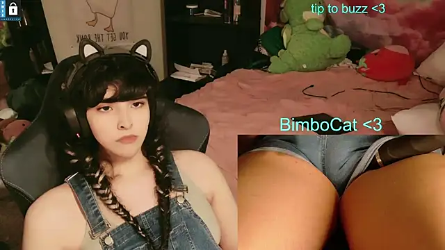 BimboCat – webcam-show