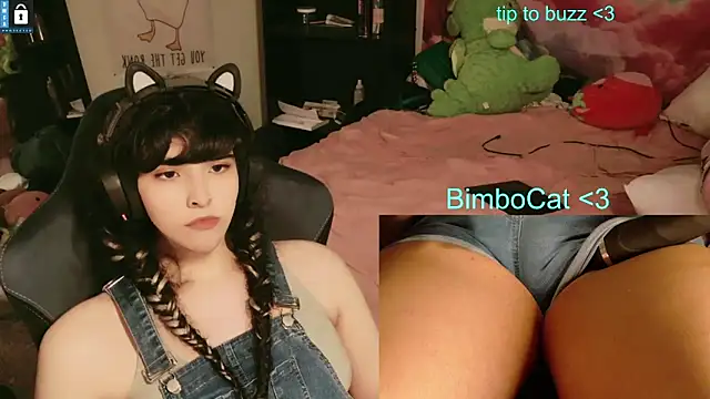 BimboCat 即時 XXX 聊天