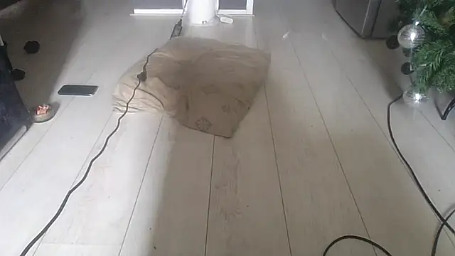 Steefje2001 Webcam Show