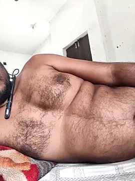 Webkamerová show Bengal_Tiger420