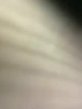 xinmengAZ 现场XXX聊天