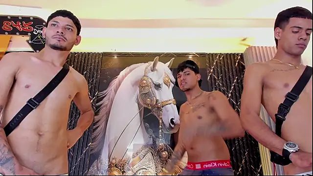 the_knights_of_the_night_'s Webcam Show