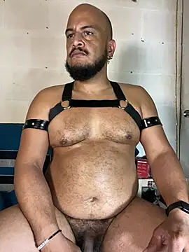 the_master_foal_: διαδικτυακό σόου στην κάμερα