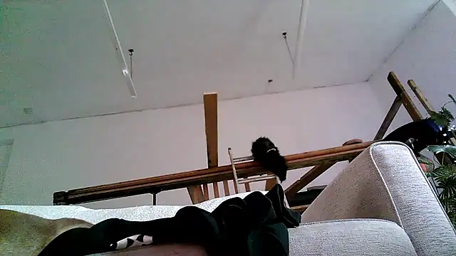 Živý XXX chat BIG_CHOPPA_747