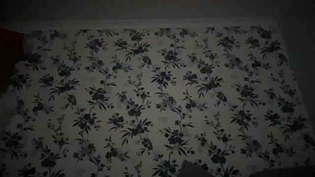 Big8inchUncutCock Webcam show