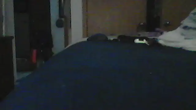 Show webcam de Silencio26