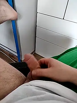 DE-PL93n Webbikameraesitys