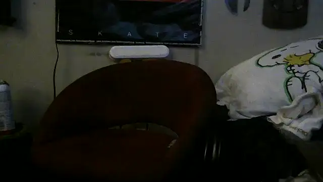 Show webcam de crassanova