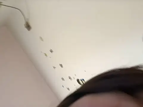 Mile-m 网络视讯表演