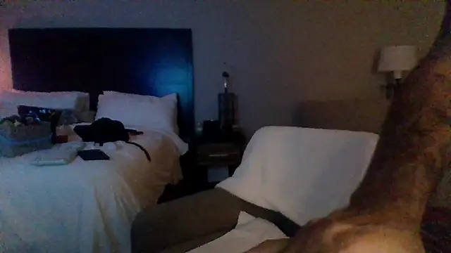 Hothotboyg Pertunjukan Webcam