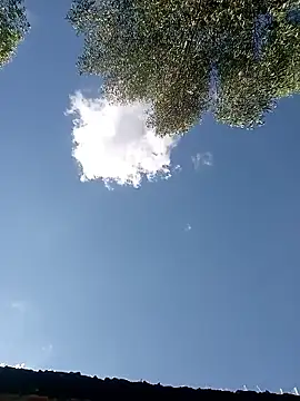 Petite_UlaのライブXXXチャット