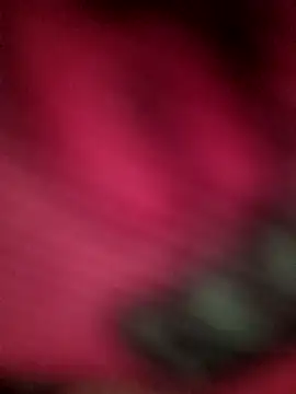 ChuckyyDee 即時 XXX 聊天