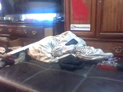 dickencidr's Webcam Show
