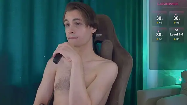 Show de webcam de DebugMee