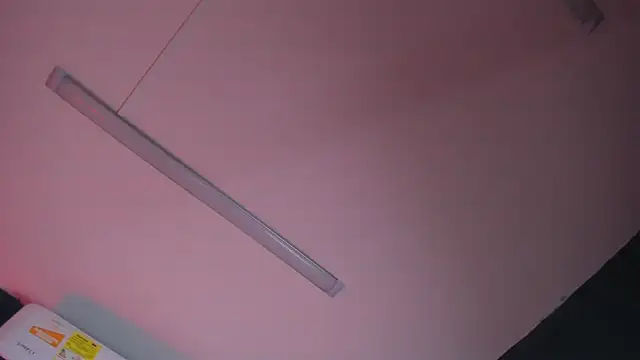 Ian_Valentiのウェブカメラショー