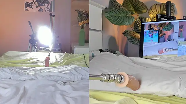 dollbrown Live XXX-chat
