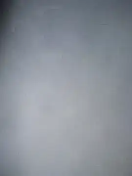 Pirata_Alf Webcam Show