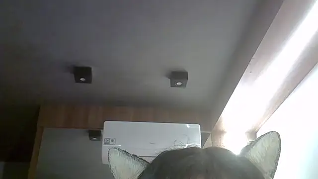 SkinnyKitten Live XXX-chat