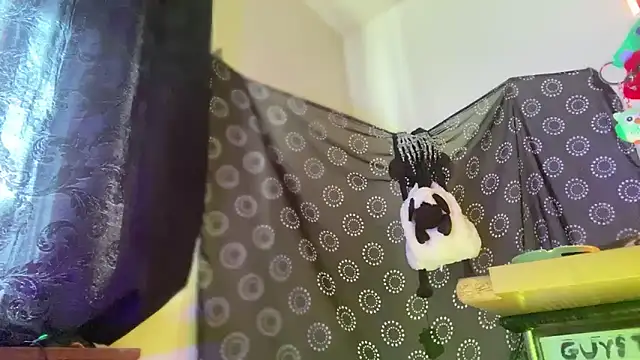 Guyst049 Show Webcam