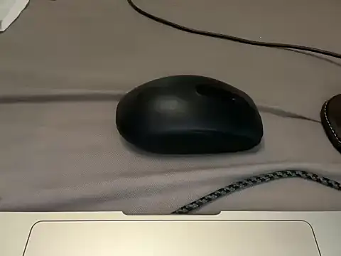 max911111 在線直播表演