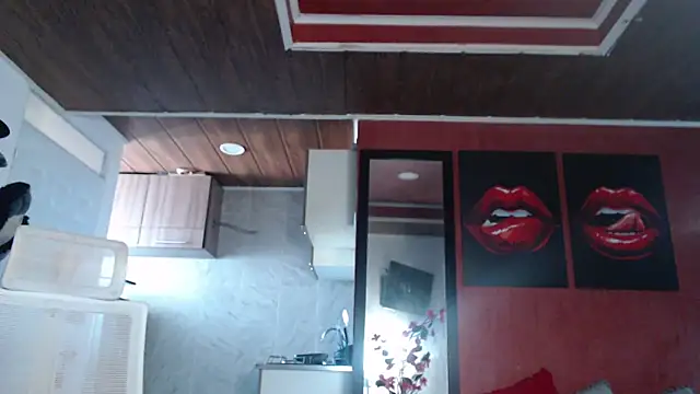 Show Webcam de allifit01