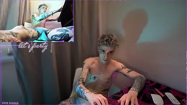 Show webcam de davesinner