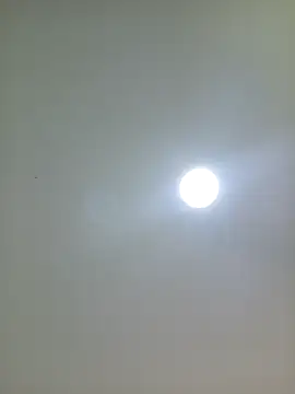 Chat XXX en directo de Arianna_Moss