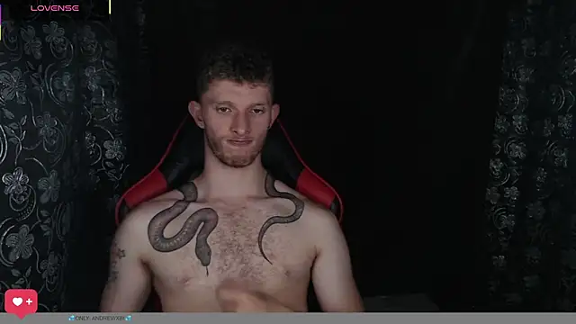 Chat XXX en directo de andrewxbi